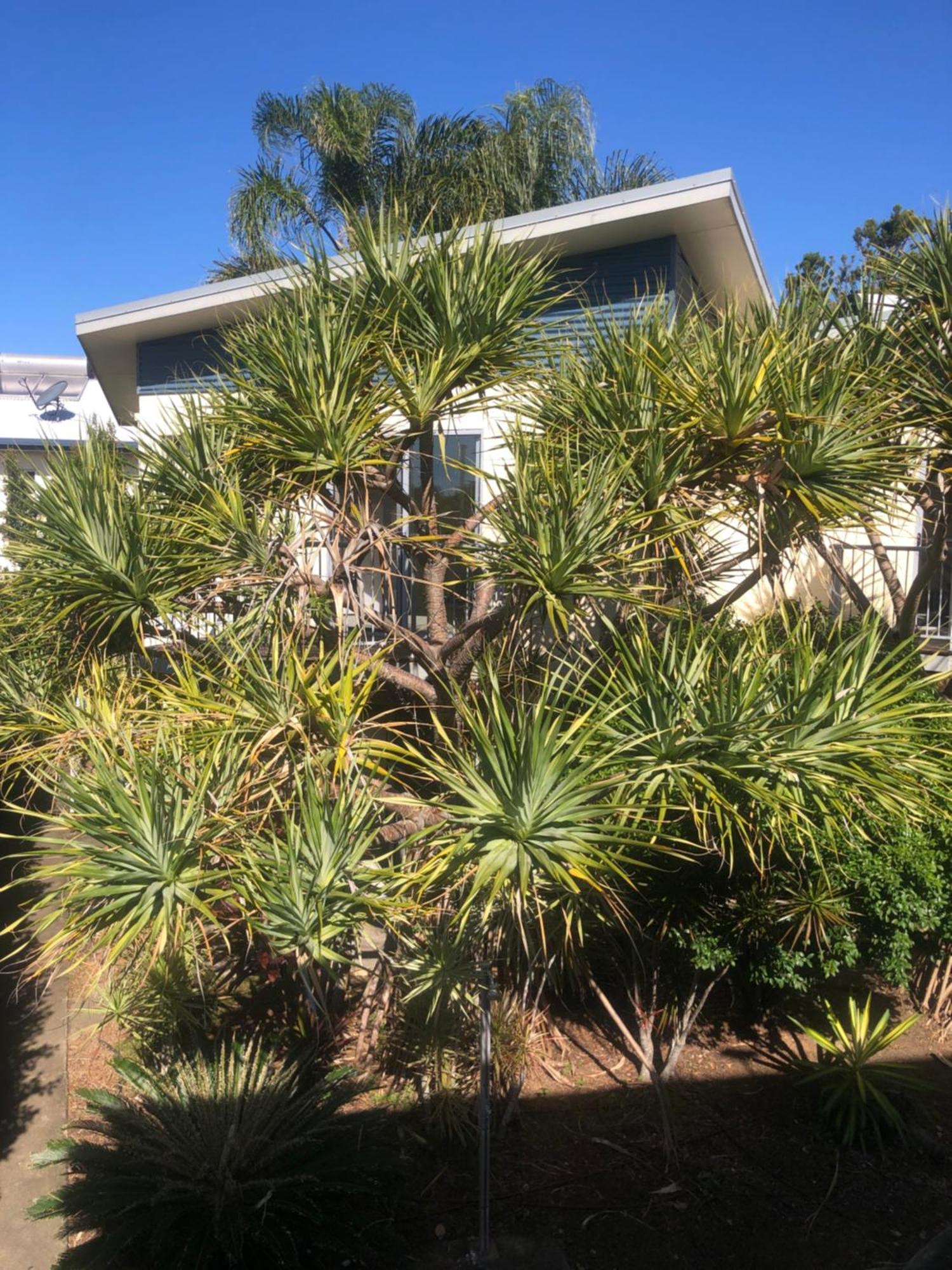 Emu Park Beach Resort Exterior photo